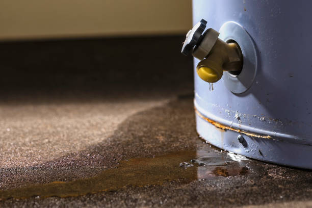 Best Commercial water damage restoration  in Borger, TX