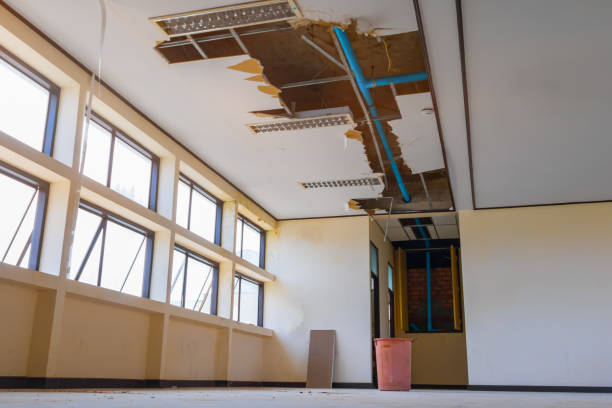 Best Professional water damage repair  in Borger, TX