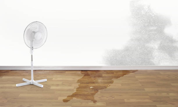 Borger, TX Water damage restoration Company
