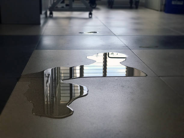 Best 24-hour water damage restoration  in Borger, TX