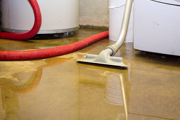 Best Water damage restoration near me  in Borger, TX