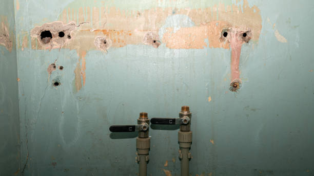 Best Basement water damage restoration  in Borger, TX