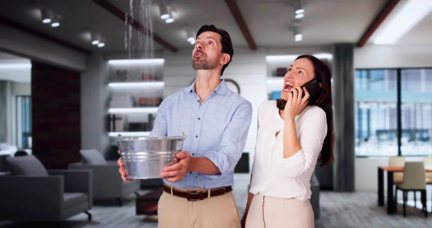 Best Mold removal after water damage  in Borger, TX